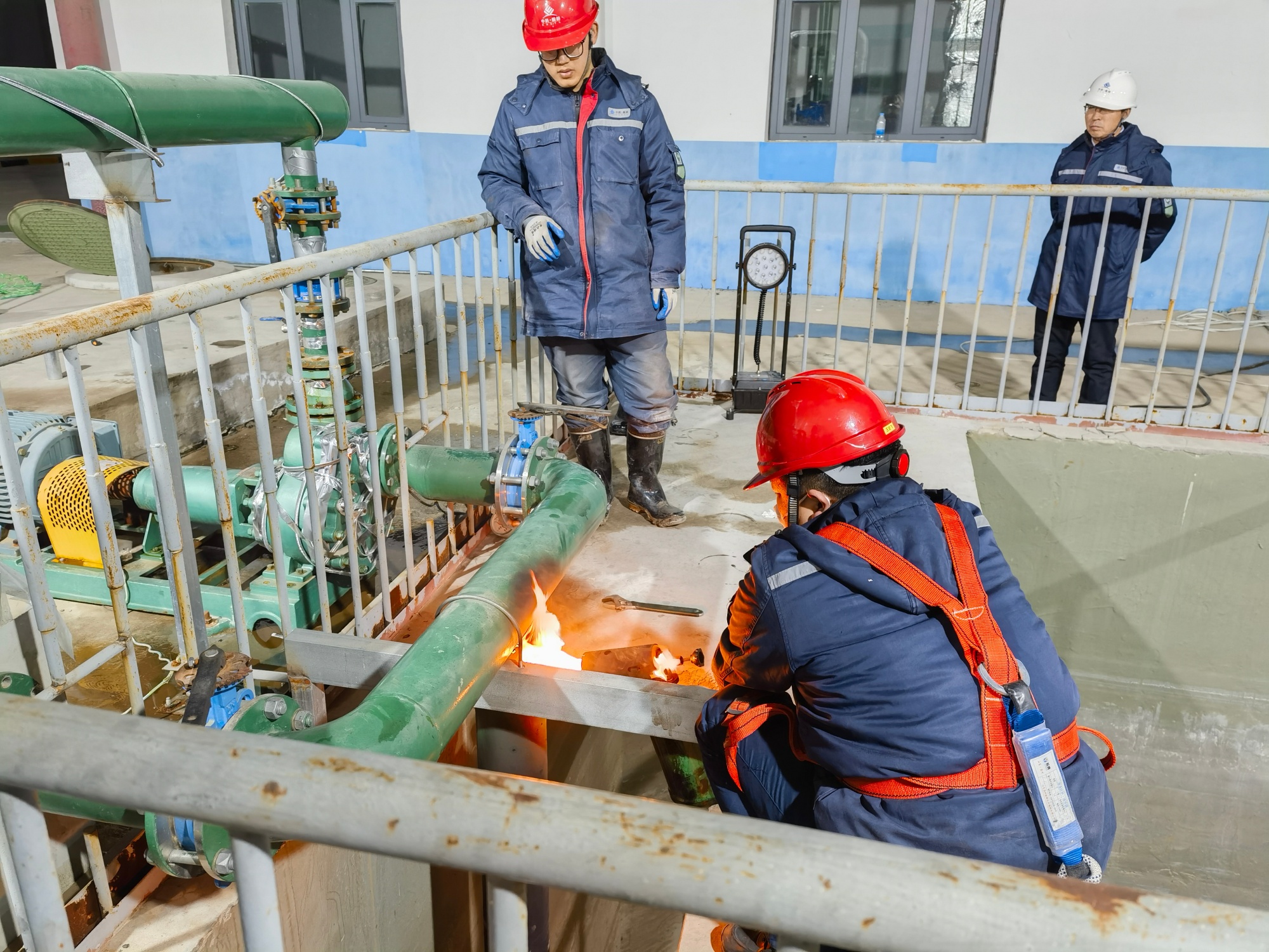 1769149638368483.jpg 1_副本.jpg